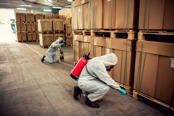 Best Pest Control Near Me in Myrtle Beach, SC