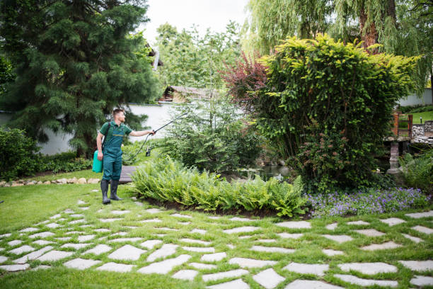 Best Wasp Removal Services  in Myrtle Beach, SC