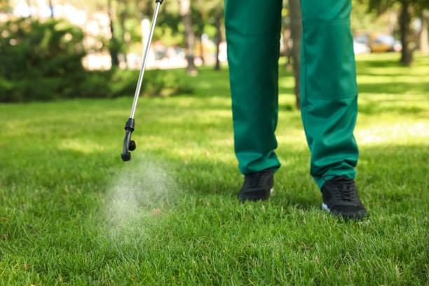 Flea Control Services in Myrtle Beach, SC