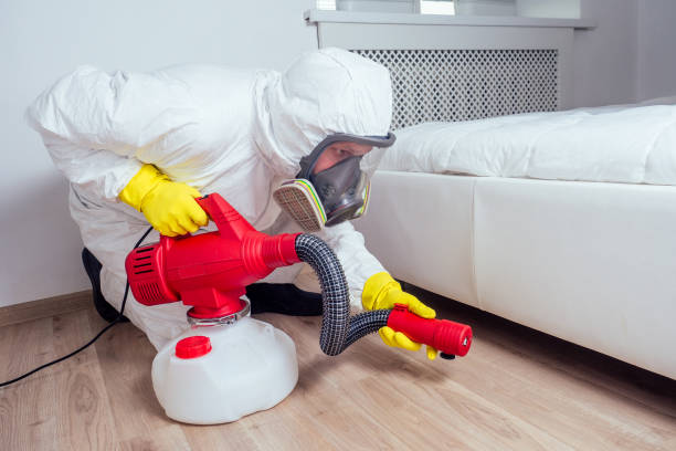 Best Termite Control Services  in Myrtle Beach, SC