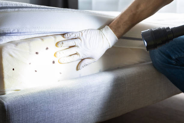 Myrtle Beach, SC Pest Control Company