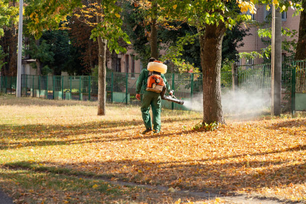 Best Pest Removal Services  in Myrtle Beach, SC