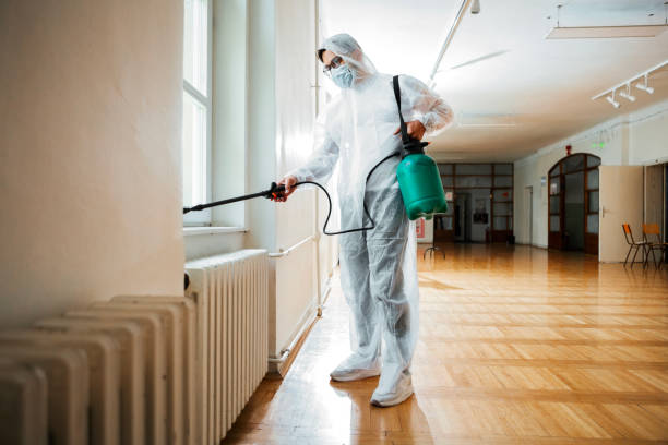Best Best Pest Control Companies  in Myrtle Beach, SC
