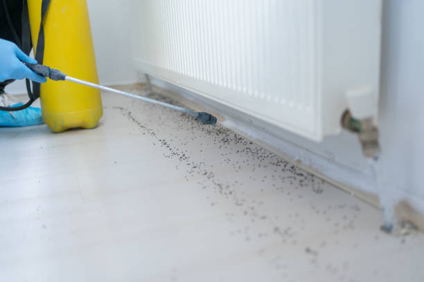 Best Wildlife Control Services  in Myrtle Beach, SC